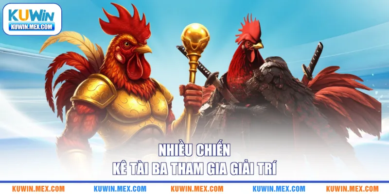 Nhiều chiến kê tài ba tham gia giải trí
